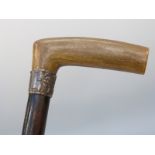 A hallmarked silver-collared ebony cane with horn handle