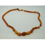An amber necklace of 46 graduated ovoid egg yolk coloured beads, the largest approximately 13x9mm,