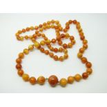 An amber necklace of 89 graduated cylindrical egg yolk coloured beads,