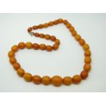 An amber necklace of 65 graduated ovoid egg yolk coloured beads, the largest approximately 13x11mm,