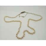 A single strand pearl necklace with a silver and marcasite clasp