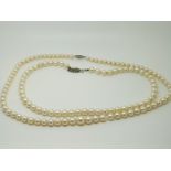 Two single strands of cultured pearls