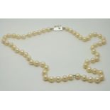 A single strand of pearls with 18ct white gold clasp