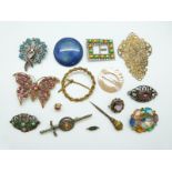 A collection of costume jewellery brooches including a butterfly,