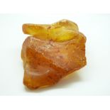 A section of copal amber