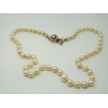 A pearl necklace with 14ct gold clasp set with pearls,