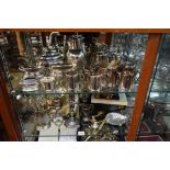 A large quantity of silver plate, (two shelves).