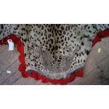 A leopard skin, with 'steam-roller' head, attached claws, and red felt backing, nose to tail 251.