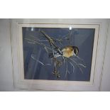 Robert Morton, a bird on a branch, signed and dated '73, watercolour and gouache, 24 x 18.5cm.