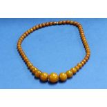 A graduated toffee amber round beaded necklace, 20cm, 32g.