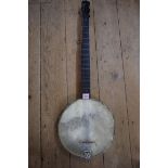 A five string banjo.