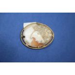 A carved shell cameo brooch in yellow metal mount.