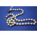 A single strand pearl necklace having 9ct gold amethyst set clasp, 49cm.