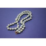 A jadeite bead necklace, having 9ct gold clasp.