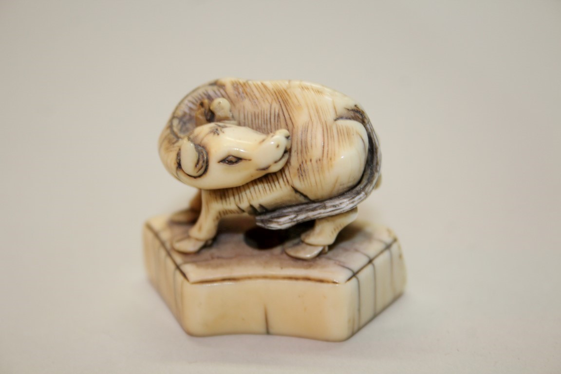 A Japanese carved ivory seal type netsuke of a cow, 18th century, 4.8cm wide. - Image 9 of 12