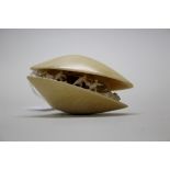 A Chinese carved ivory clam shell, late 19th/early 20th century, signed,