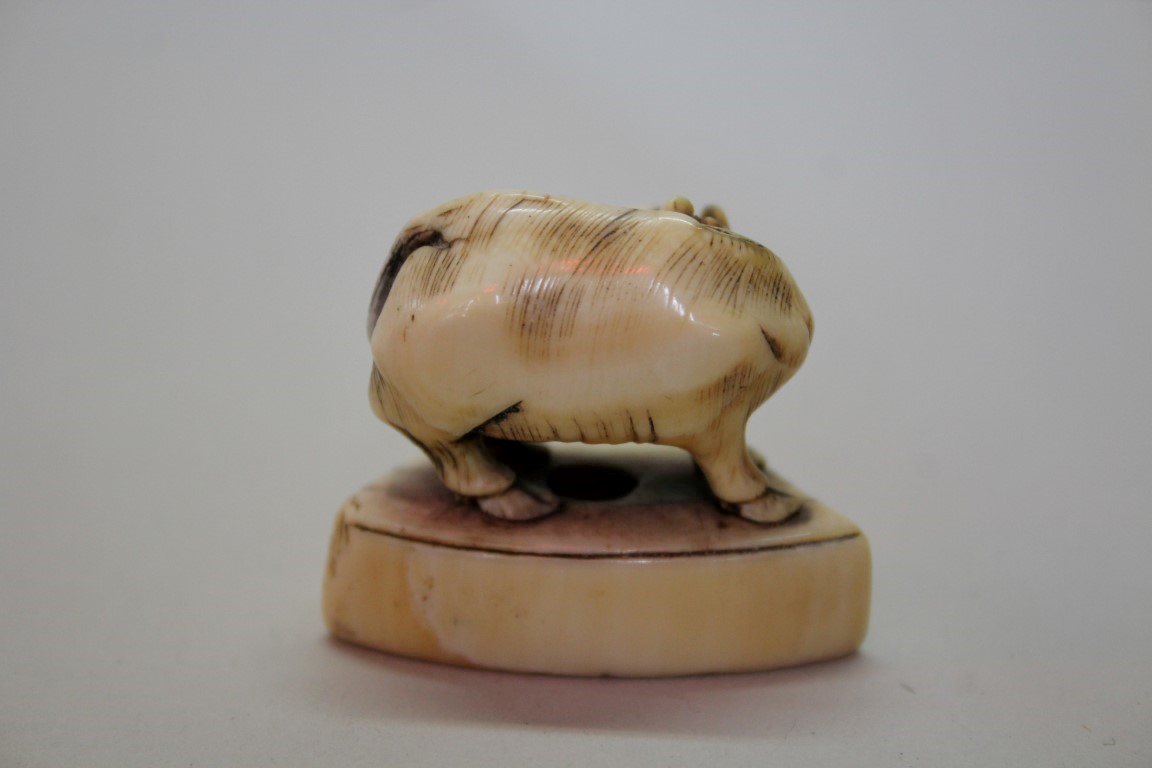A Japanese carved ivory seal type netsuke of a cow, 18th century, 4.8cm wide. - Image 5 of 12