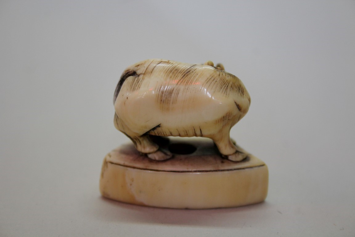 A Japanese carved ivory seal type netsuke of a cow, 18th century, 4.8cm wide. - Image 6 of 12