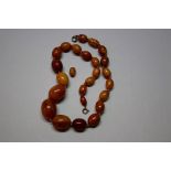 An amber necklace, of twenty four graduated oval beads, 45cm long, 40g.