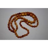 An amber necklace, of seventy nine oval beads, 45g.