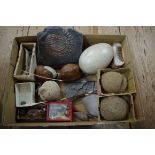 A mixed lot of works of art, fossils and natural history specimens,