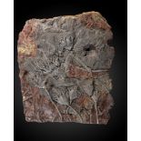 Natural History: A Crinoid specimenMoroccan, Devonian48cm.; 19ins by 37cm.; 14½ins