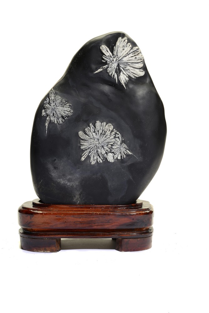 Mineral: A Chrysanthemum stone on wooden base41cm.; 16ins overall