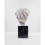Natural History: A Pecten fossilFrance, Mioceneon Devonian fossil marble stand31cm.; 12ins high