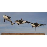 Modern Sculpture: Martin Scorey, Born 1961 Trio of Orca whales Reclaimed Douglas Fir scorched and