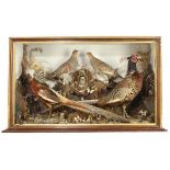 Taxidermy: An unusual mixed case of Pheasants, Partridges, Mice, Butterflies and Snailslate 19th