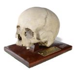 Tribal: A human skull19th centuryon wooden base with brass plaque inscribed 'scull of a hindoo