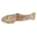 Fossils: A Cladocyclus fossil fishBrazil, Santana Formation, Lower Cretaceous73cm