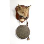 Taxidermy: A Fox mask on shield by Peter Spicer with gongwith ivorine plaque inscribed Hels