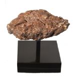Fossils: A dinosaur coproliteon bronze base13cm high overall