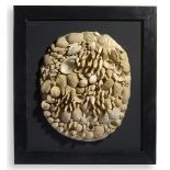 Natural History: A collage of Miocene shells France, Miocene 54cm high by 47cm wide