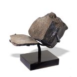 Minerals: A meteorite NWA (type L4-6) showing chondrules and metal flakes on bronze base 21cm high