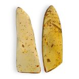 Natural History: Two very large pieces of Copal with insect inclusions Columbia each 16cm long