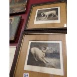 Pair of engravings of dogs