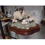 Spring Lambing by Border Fine Arts