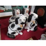 2 x pairs of Staffordshire dogs