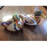 2 x Crown Derby ducks