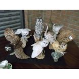 Collection of owls