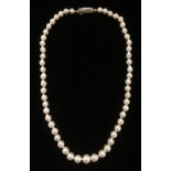 A VINTAGE PEARL AND SILVER NECKLACE With graduated pearl beads and silver marcasite set clasp. (l