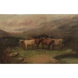 HIGHLAND CATTLE IN LANDSCAPE, A 19TH CENTURY OIL ON CANVAS Signed and gilt framed. (77cm x 51cm)