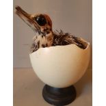 A 20TH CENTURY TAXIDERMY OF AN OSTRICH CHICK WITH EGG