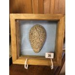 A 20TH CENTURY IMITATION BIRD EGG IN FRAMED DISPLAY CASE