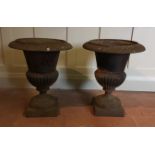 A PAIR OF ANTIQUE CAST IRON CAMPANA URNS of classical form.