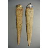 AN EARLY 20TH CENTURY TAXIDERMY PAIR OF OTTER RUDDERS One silver mounted, the other brass