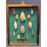 A 20TH CENTURY COLLECTION OF CHRYSALIS AND COCOON SPECIMENS Mounted in a framed glazed case. (h 31.