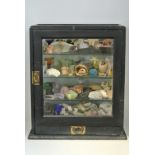 AN EARLY 20TH CENTURY CABINET OF CURIOSITIES The contents over five shelves and one drawer,